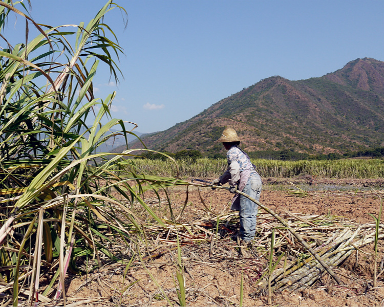 P1180775_meitu_28 750 600.jpg P1180775_meitu_28 750 600.jpg