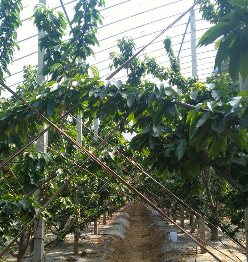 微信图片_20180423100423.jpg 微信图片_20180423100423.jpg