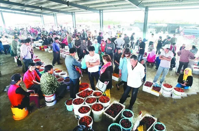 40f8bf68a6014fea82586ae0c6830992_th.jpg 40f8bf68a6014fea82586ae0c6830992_th.jpg