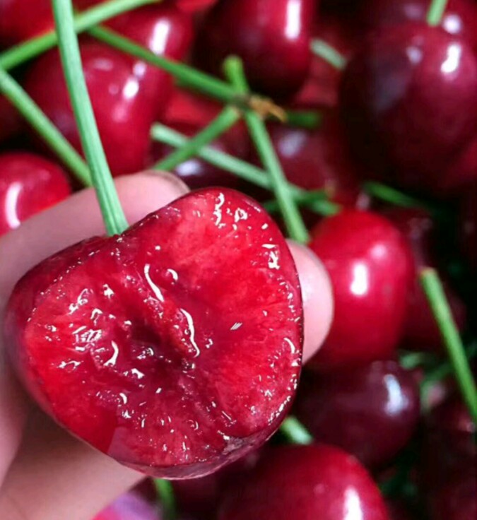 TB2wFALcuGSBuNjSspbXXciipXa_!!3402439494.jpg TB2wFALcuGSBuNjSspbXXciipXa_!!3402439494.jpg