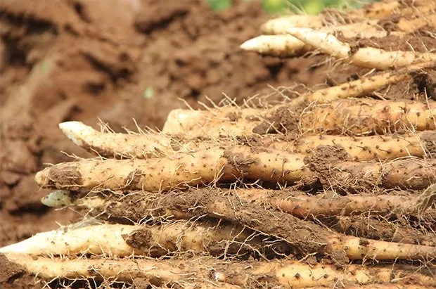 2.webp.jpg 2.webp.jpg