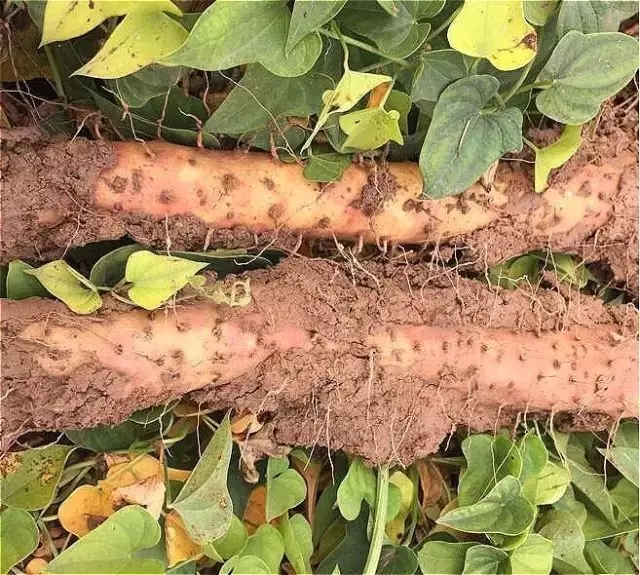 3.webp.jpg 3.webp.jpg