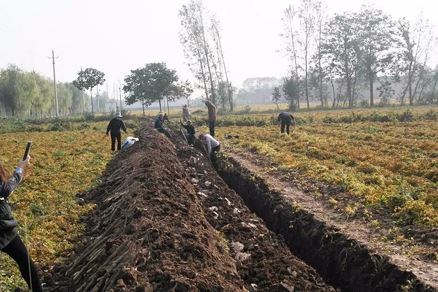 7.webp.jpg 7.webp.jpg