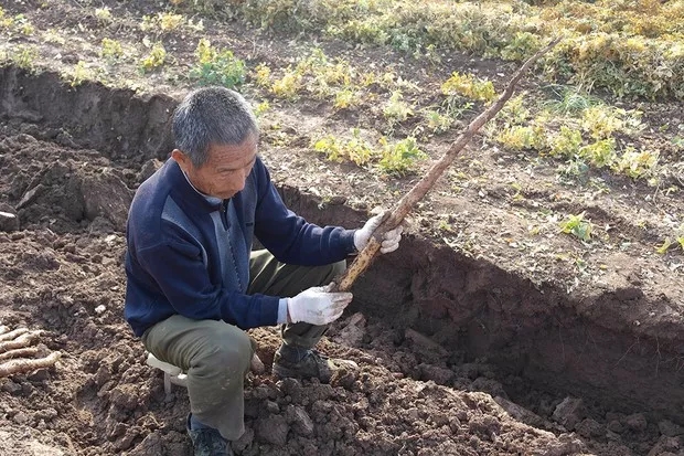 9.webp.jpg 9.webp.jpg