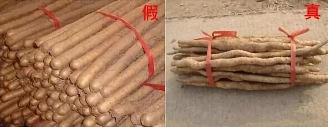 11.webp.jpg 11.webp.jpg