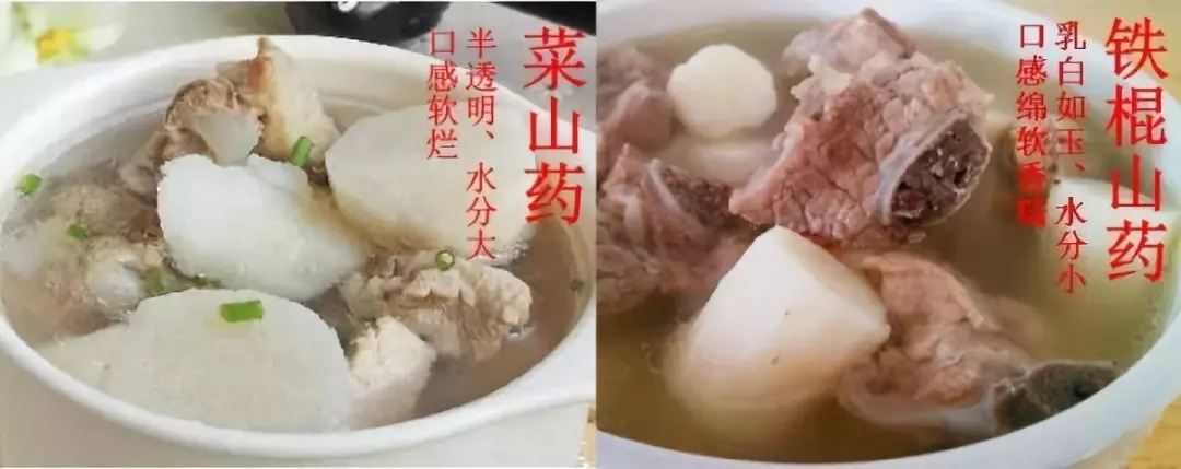 13.webp.jpg 13.webp.jpg