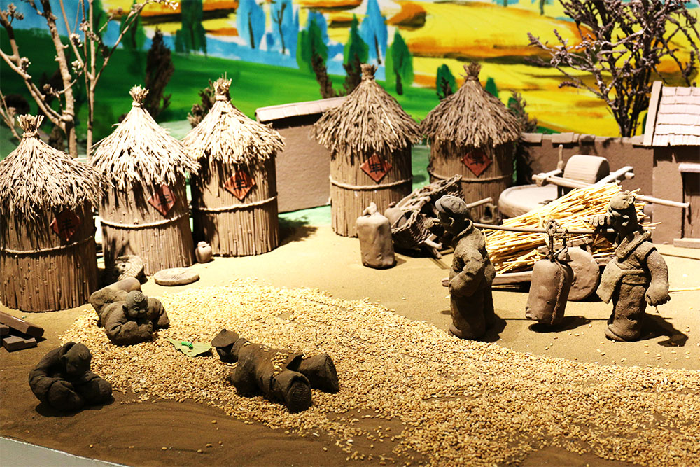 IMG_4946-1.jpg IMG_4946-1.jpg